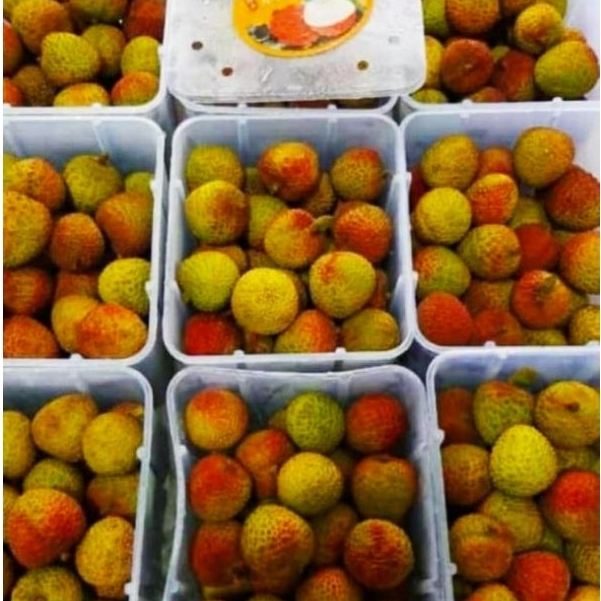 

Buah Leci Madu Manis Segar / Lychee Honey Fresh