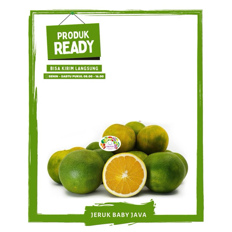 

Jeruk Baby Java / Buah Buahan Segar Ready On Mallahrizwa