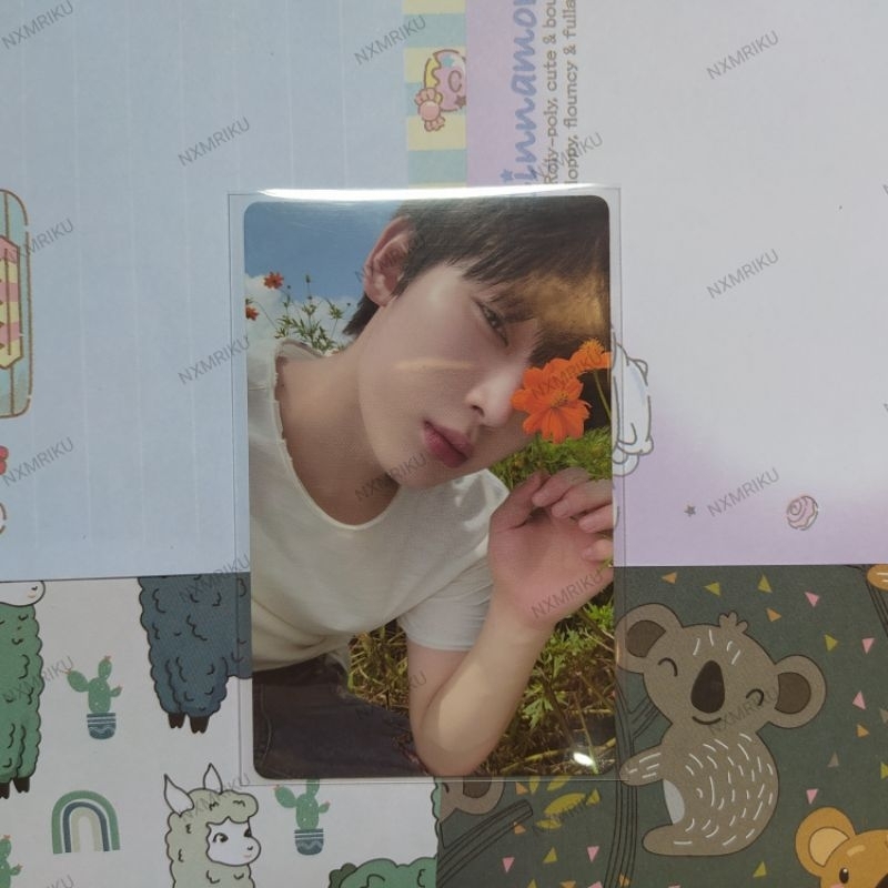 PHOTOCARD OFFICIAL ENHYPEN SUNOO NI-KI ORANGE BLOOD WV BUNGA ENGENE VER KALPA