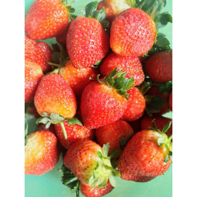 

Strawberry Lokal 250 gram