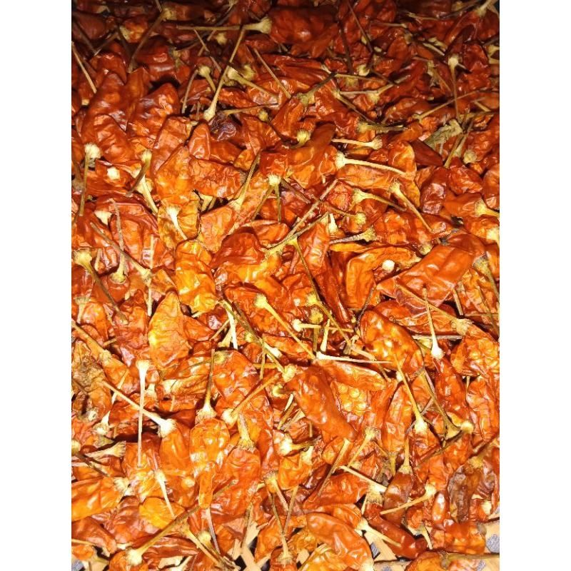 

cabe rawit kering kemasan 250gr bukan rijekkk,,