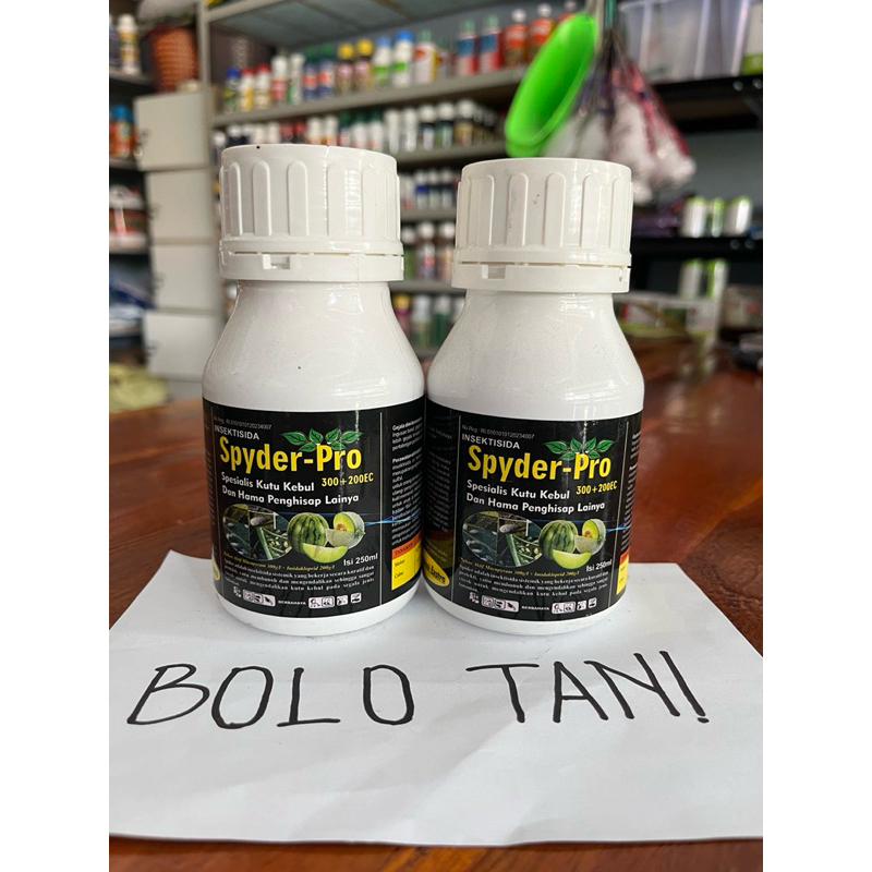 Insektisida SPYDER PRO 300+200EC 250ML Spesialis Kutu Kebul