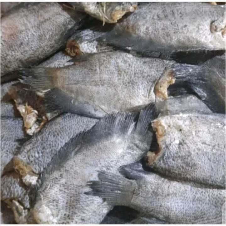 

1 KG Ikan Asin Sepat/ Ikan Asin Murah/ Ikan Asin Enak/ Ikan Asin Palembang