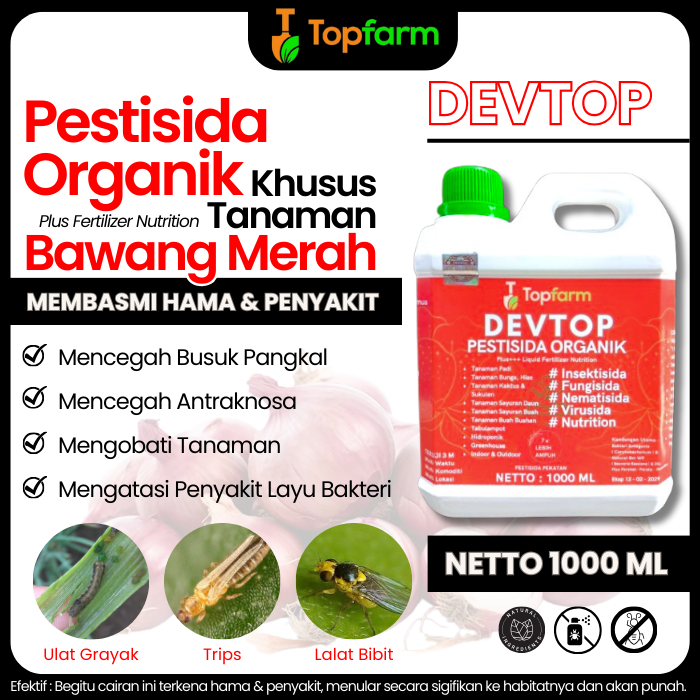 Pestisida Untuk Bawang Merah / Pestisida Bawang Merah / Pestisida Ulat Bawang Merah / Obat Hama Ulat