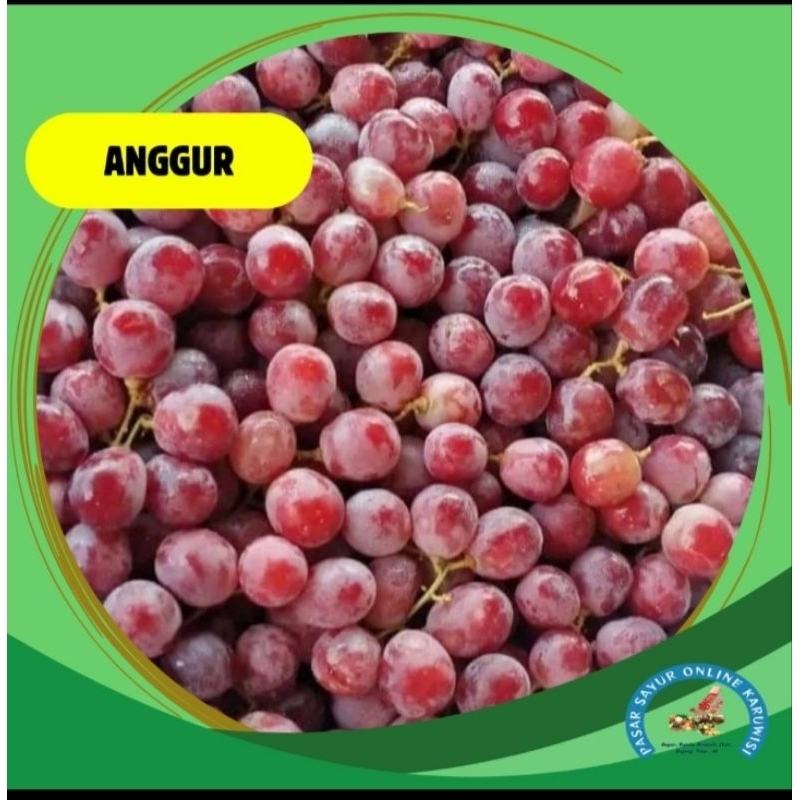 

buah anggur segar murah