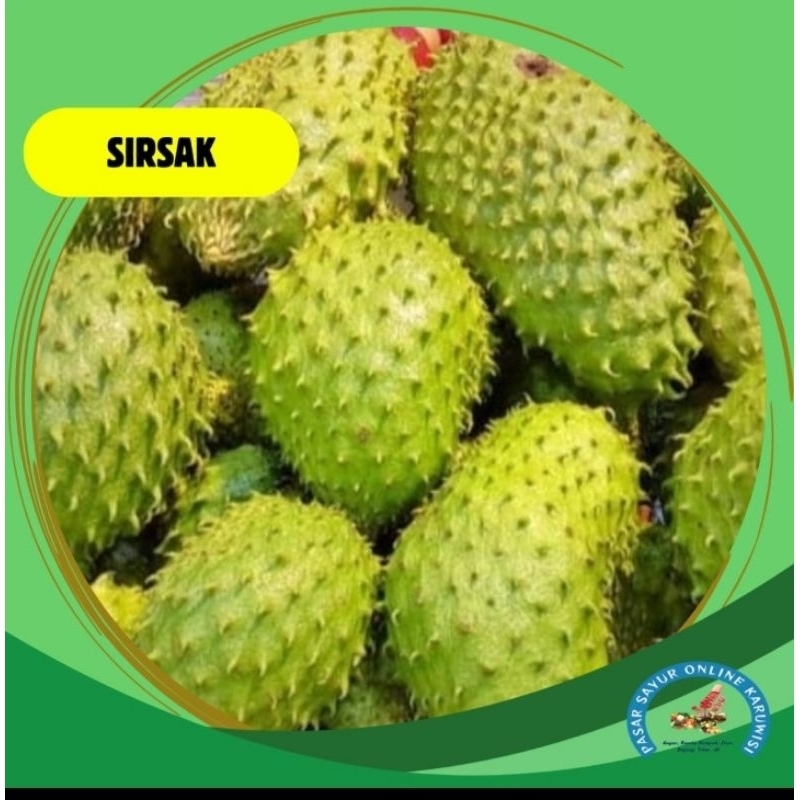 

buah sirsak masak murah
