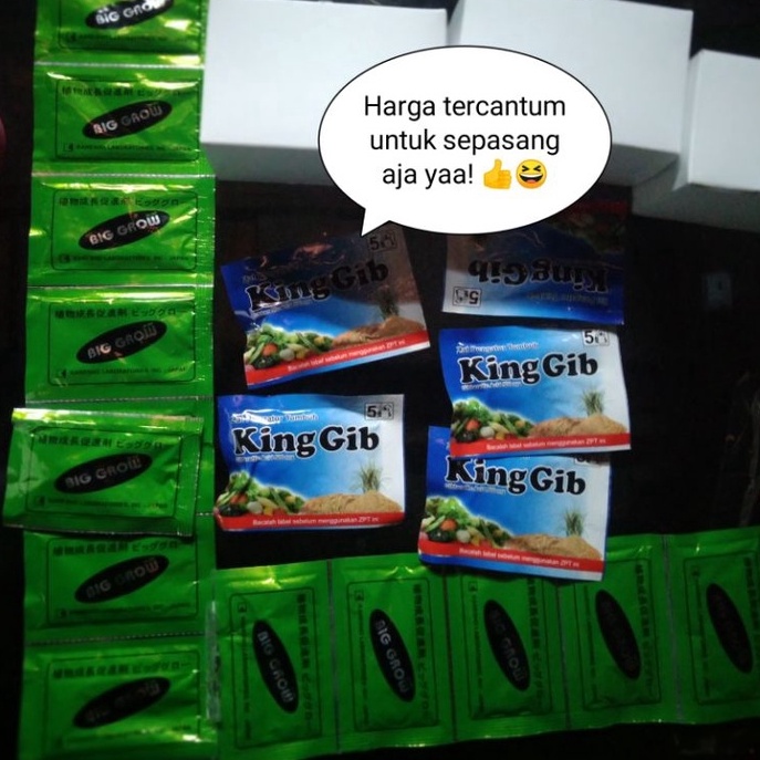 Paket BIG GROW biggrow DAN KING GIB  NUTRISI PEMBESAR BUAH NAGA