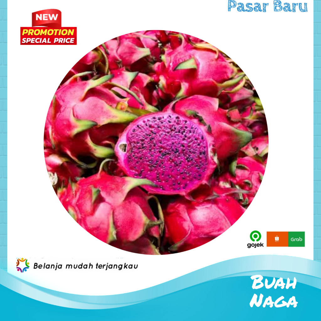 

Buah Naga • Murah | Pasar Baru Makassar