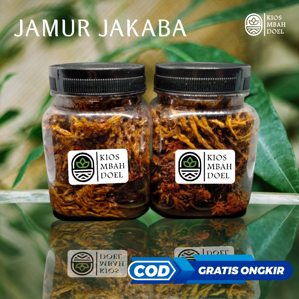 JAKABA BIBIT BIANG JAMUR KEABADIAN COCOK UNTUK TANAMAN HIAS
