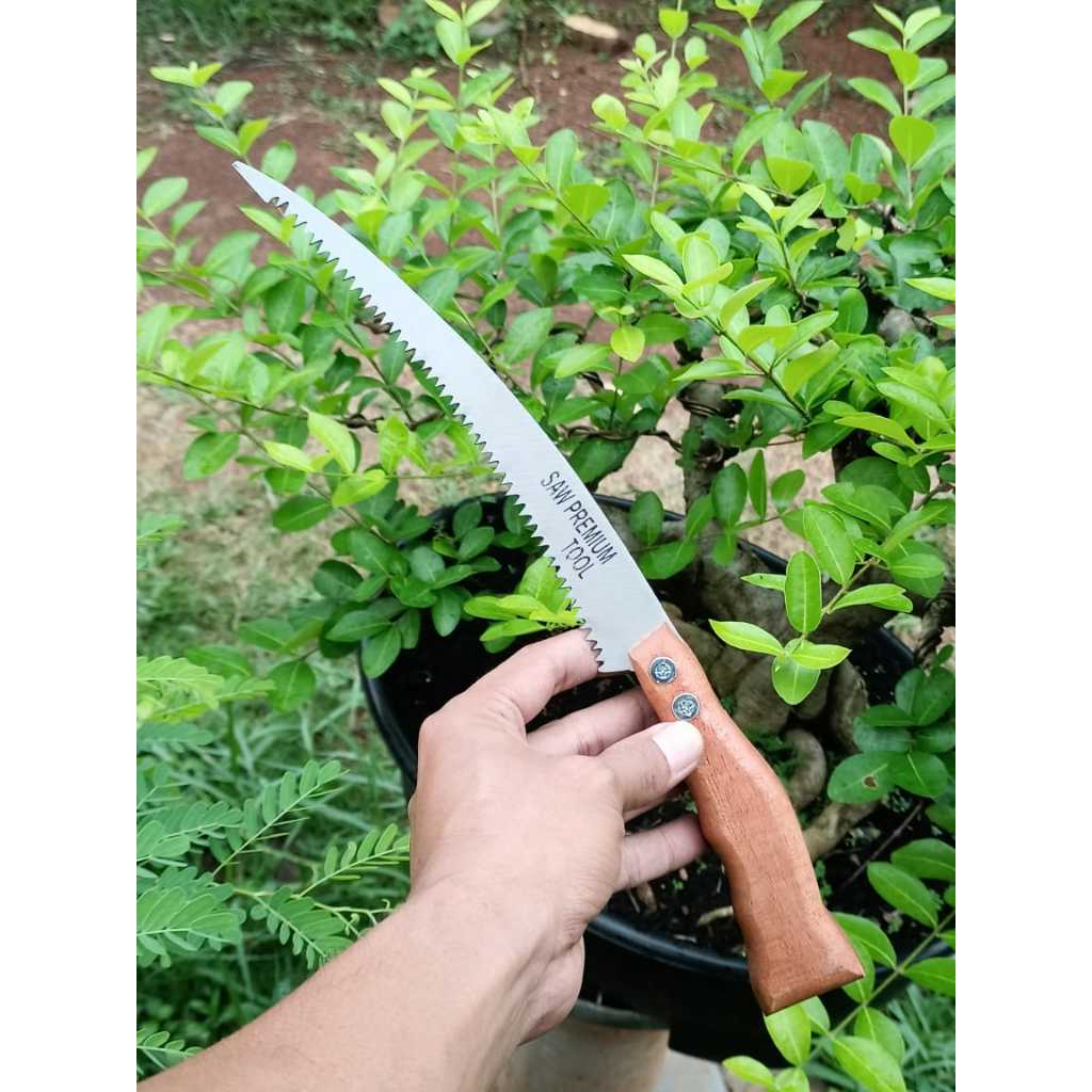 GERGAJI BONSAI PREMIUM BAHAN BAJA HSS 34 CM GERGAJI SELENDANG ALAT BERKEBUN