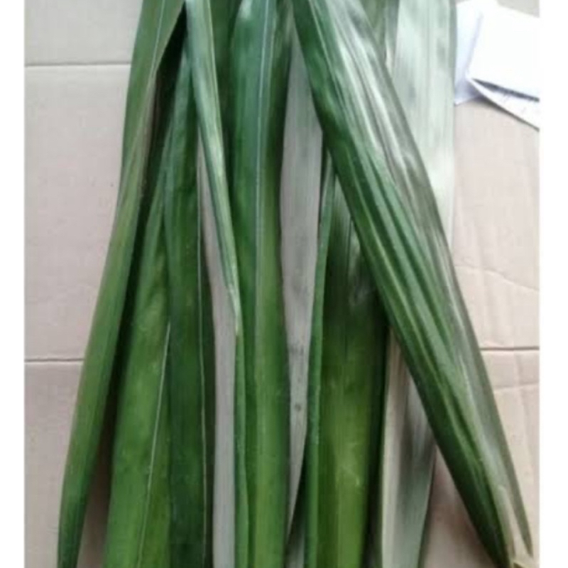 

Daun salak segar petik langsung 250 gram-az