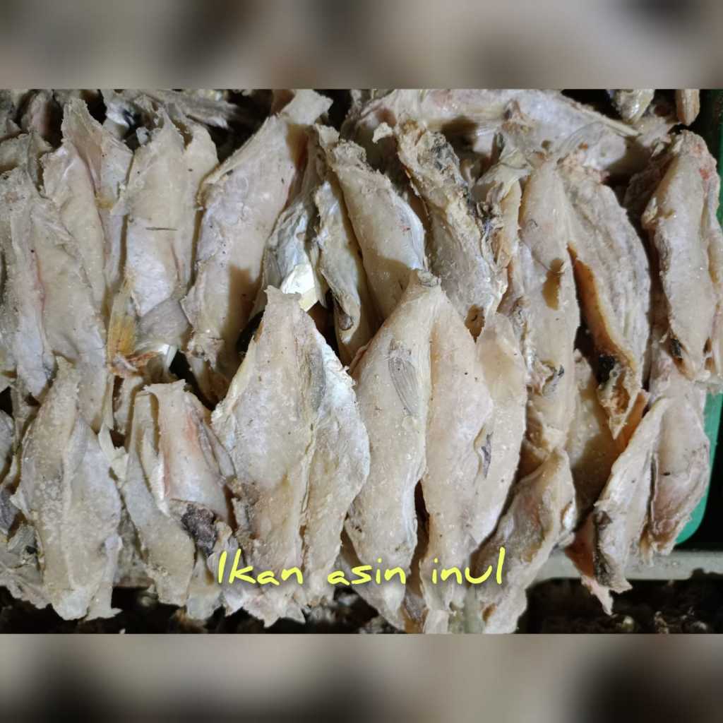 

Produk Terbaru Ikan Asin Inul Buntek/ Aroma Kualitas Mantap