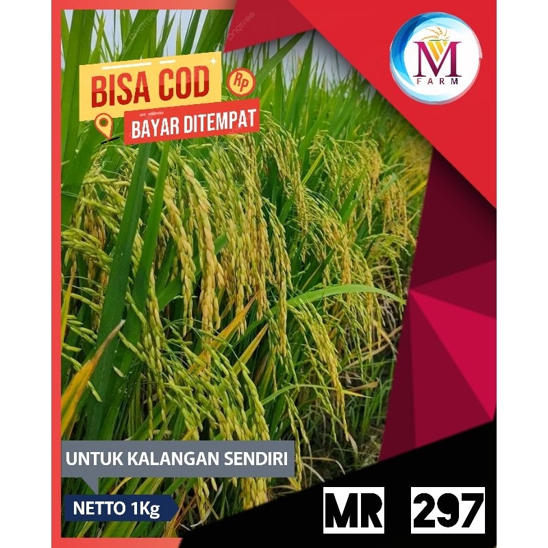 benih padi mr 297 kemasan 1kg