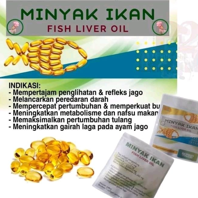 MINYAK IKAN UNTUK AYAM BANGKOK/ADUAN MINYAK HATI IKAN MINYAK IKAN SALMON