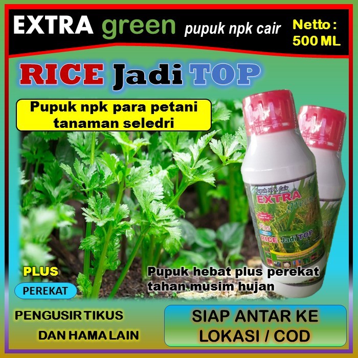 Pupuk tanaman seledri npk cair lengkap ( EKTRA GREEN RICE jadi TOP ) 500 ml - pupuk penyubur tanaman
