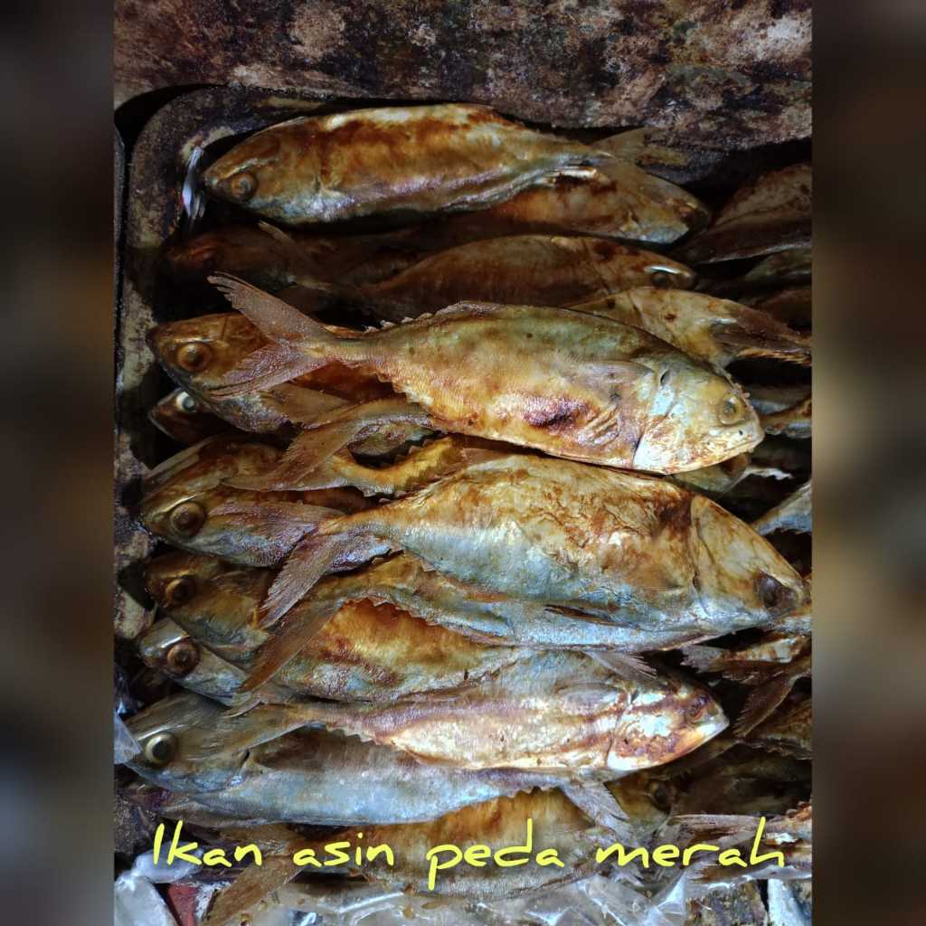 

Menjual Semua Jenis Ikan Asir Segar Paling Murah Serba 12.500 (12 Ribu)