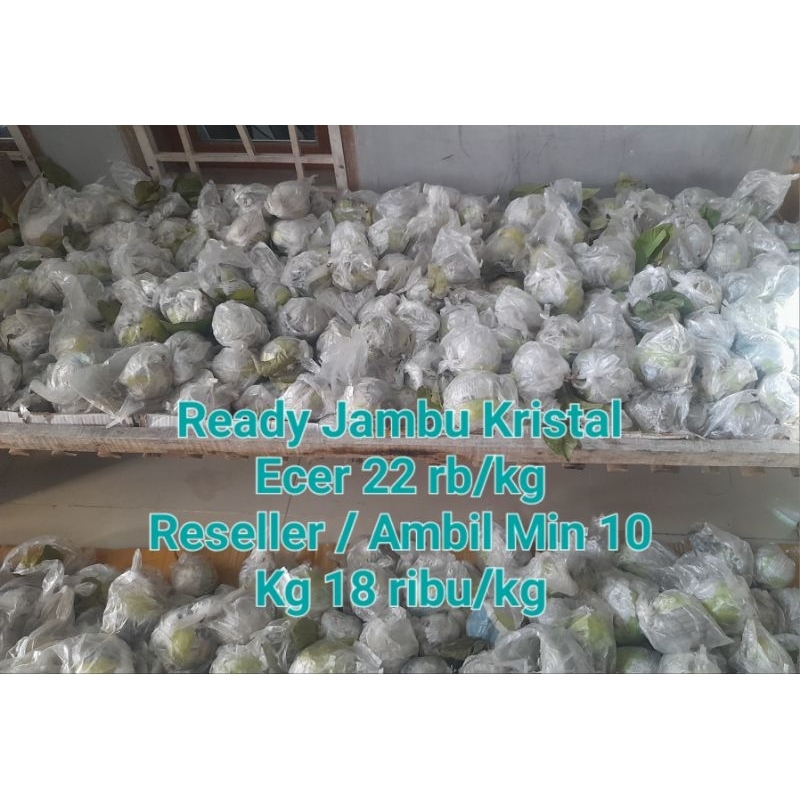 

Jambu Kristal