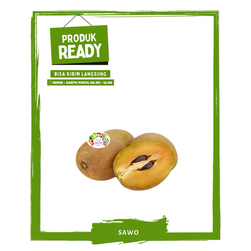 

Sawo Madu / Buah Buahan Segar Ready On Mallahrizwa