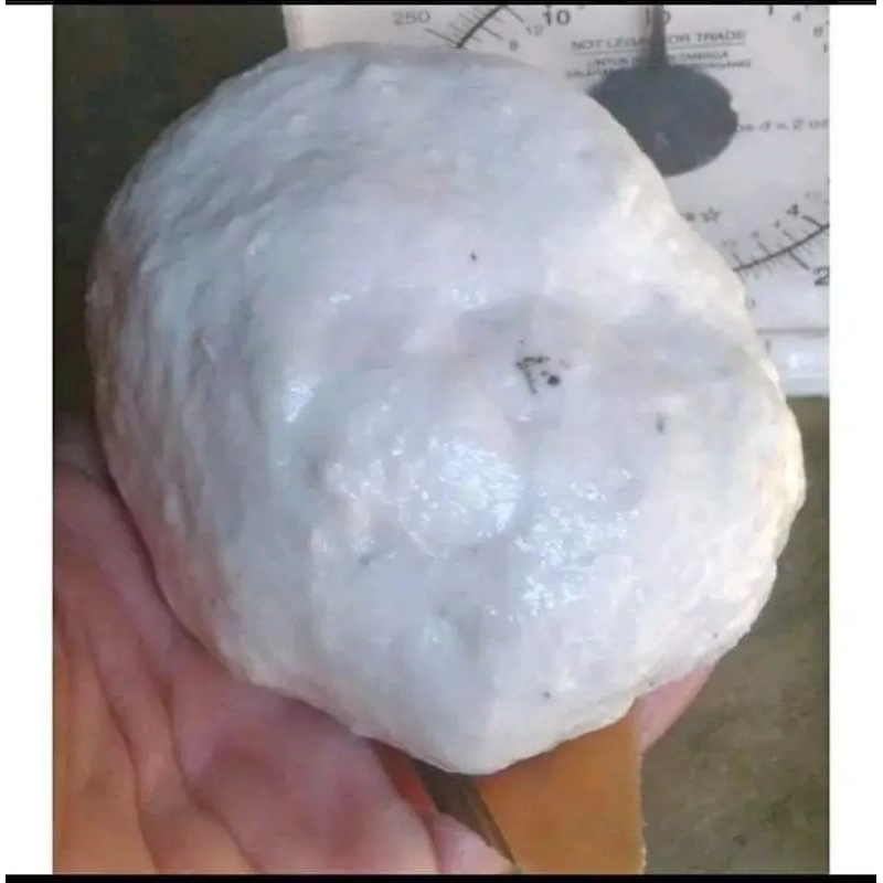 Getah Pulut Pikat Jerat Burung Super Lengket