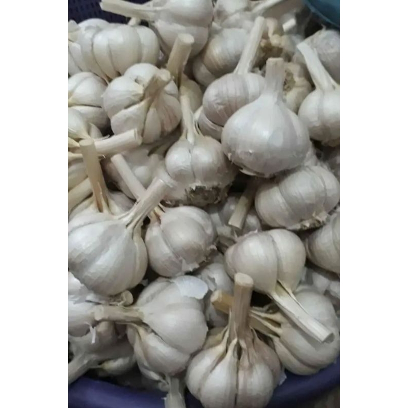 

Bawang putih Kating 1 kg/Bawang putih idaman