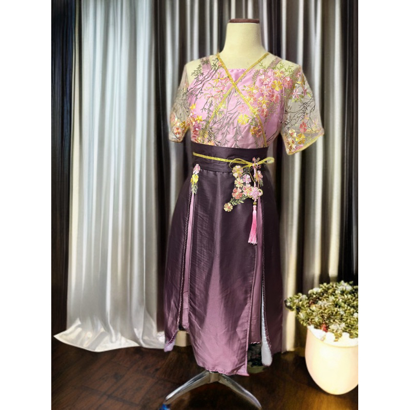 Hanfu Modern Dress Hanfu Custom
