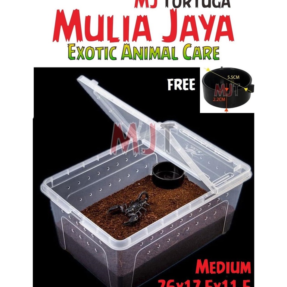 Kandang Tarantula Enclosure Tarantula Box Reptil M 26x175x115cm Iguana Kura Gecko BD Nomoy H4