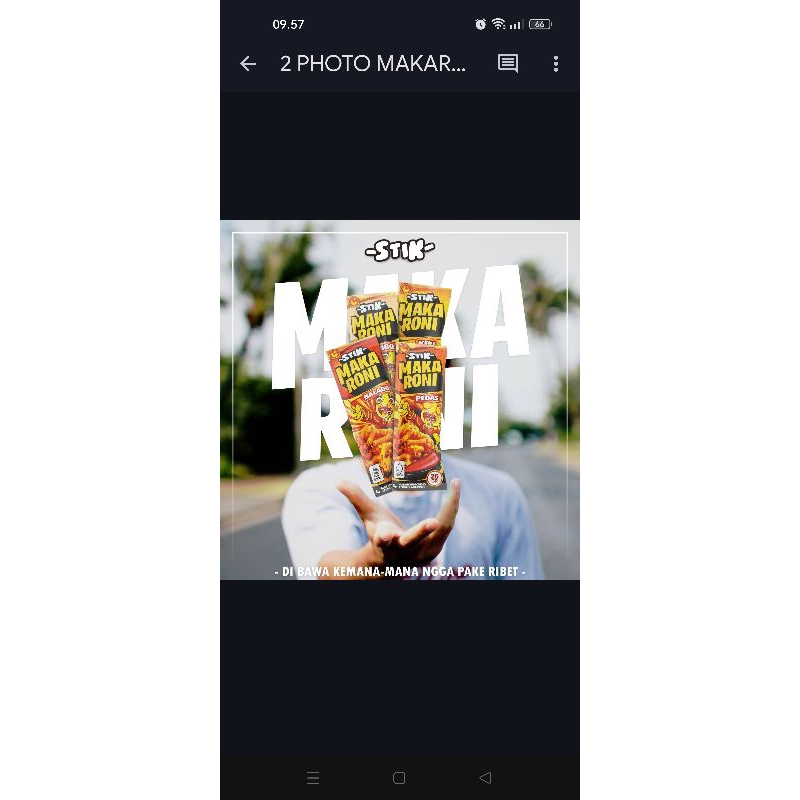 

macaronistick4varianrasa