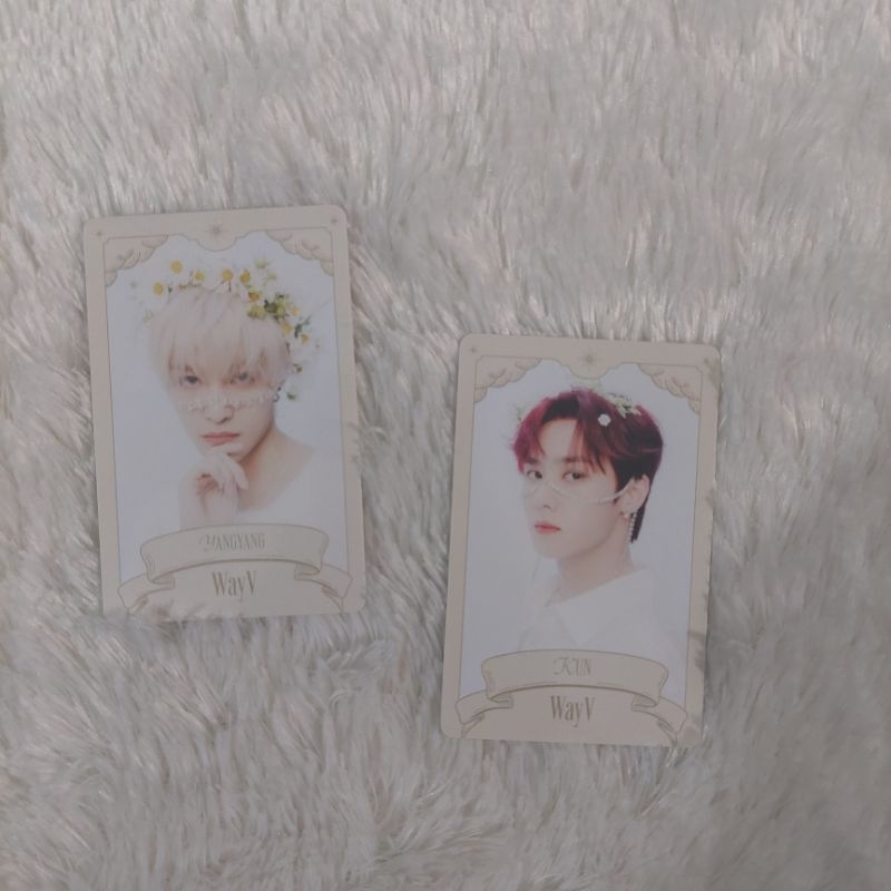 Official Merch MD Photocard PC WayV Kun Yangyang SG 23 Seasons Greetings 2023  Trading Card Putih Ph