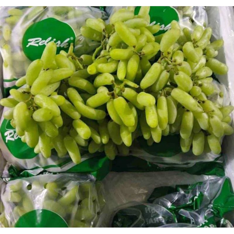 bibit anggur jari indian  non biji import grafting