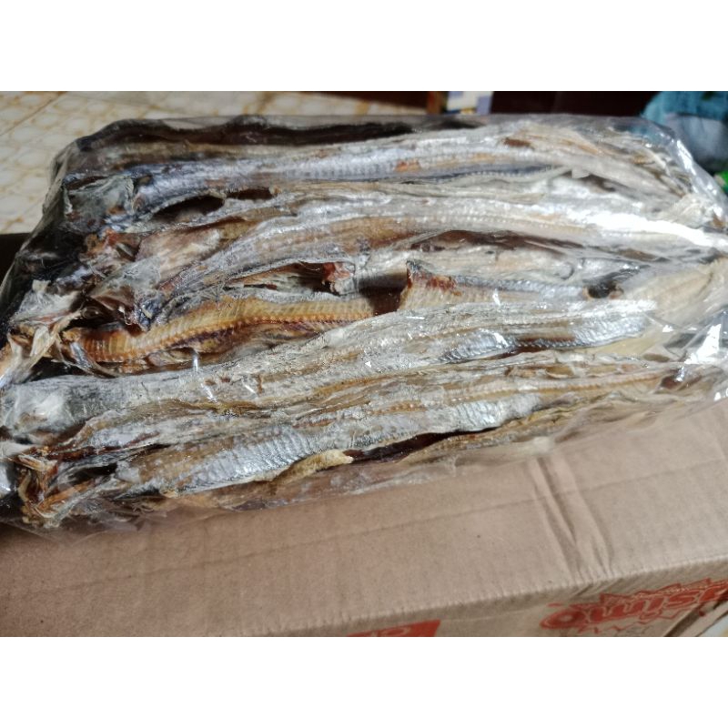 

IkanlayurkeringTawar