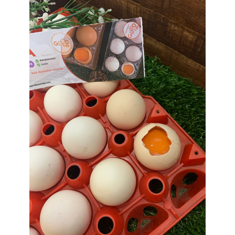 

[30butir] - Telur Ayam Kampung Omega - Goodegg