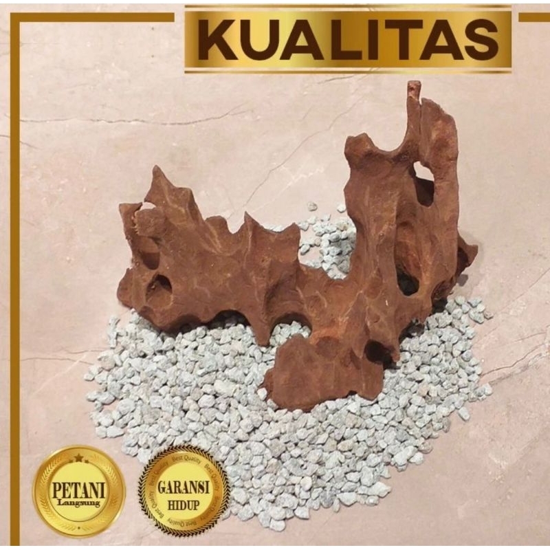 Pasir Zeolite / Zeolit Media Tanaman Hias Aquascape / Filter Aquarium