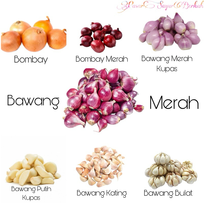 

Bawang Merah/Putih/Bombay @250gram