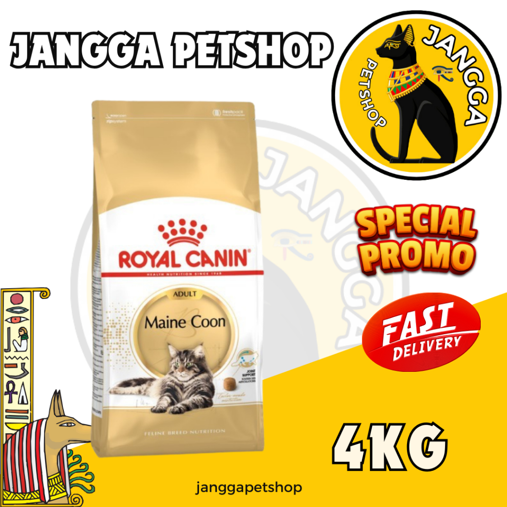 Royal Canin Maine Coon Adult 4kg