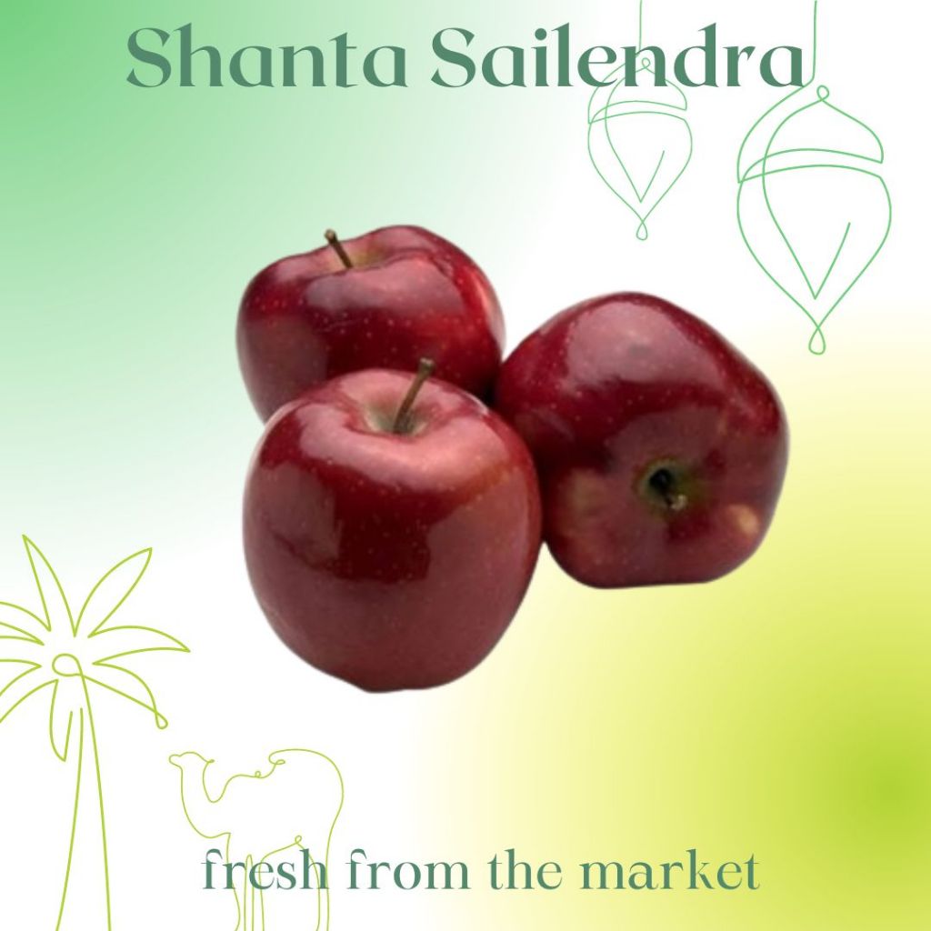 APEL WASHINGTON SEGAR  1 KG