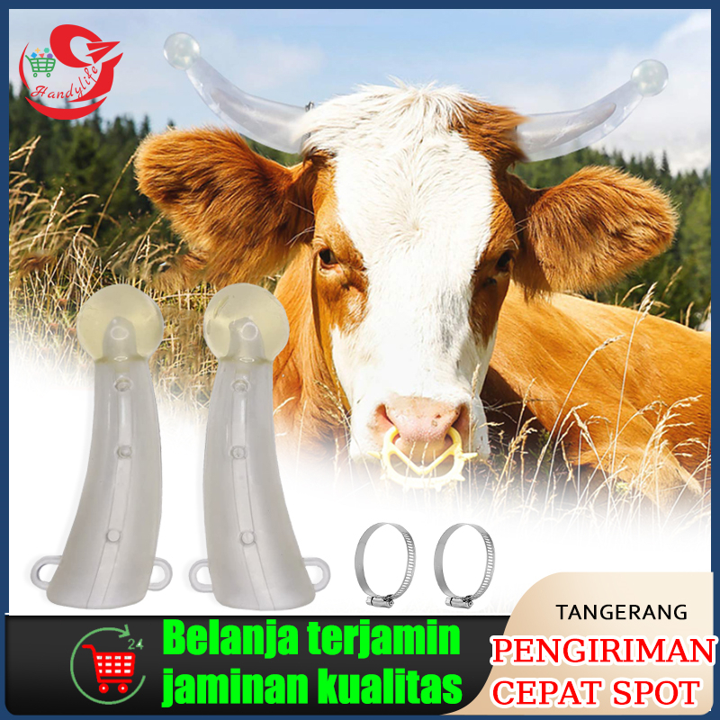 Sepasang Alat Penahan Tanduk Untuk Sapi, Pelindung Tanduk Untuk Sapi Betina Dan Anak Sapi