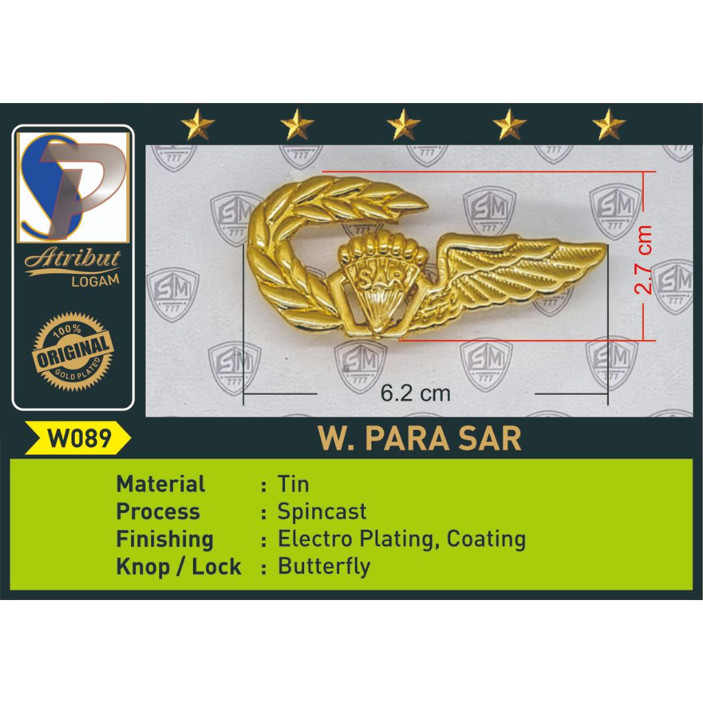 PIN BREVET WING PARA SAR