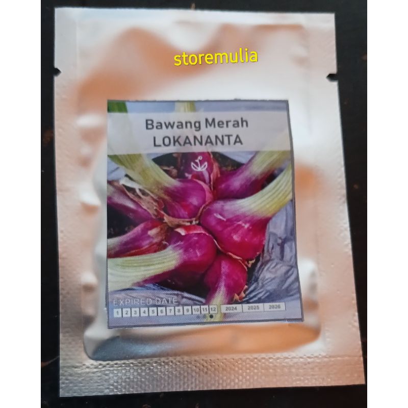 Bibit Benih BAWANG MERAH  lokananta