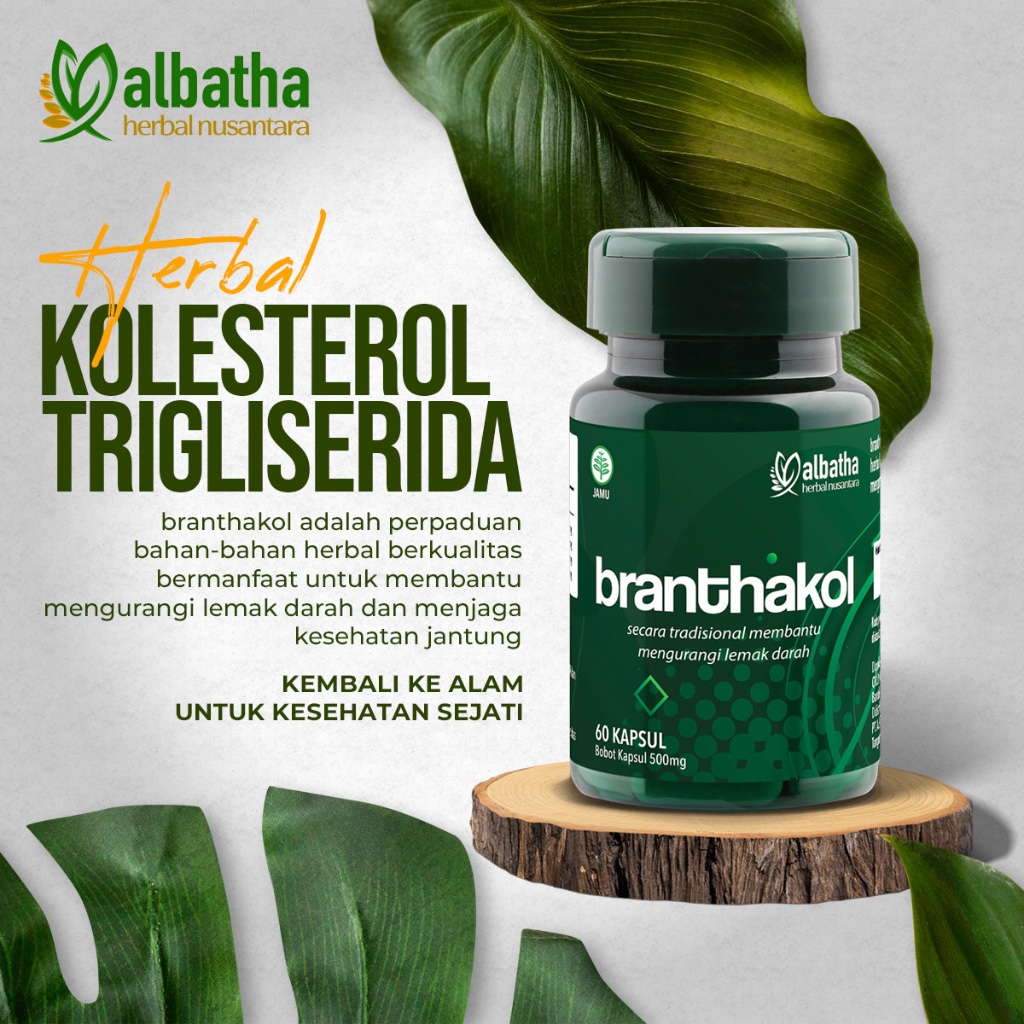 Branthakol - Obat Kolesterol dan Trigliserida Herbal Turunkan Kolesterol LDL dan Melancarkan Sirkula