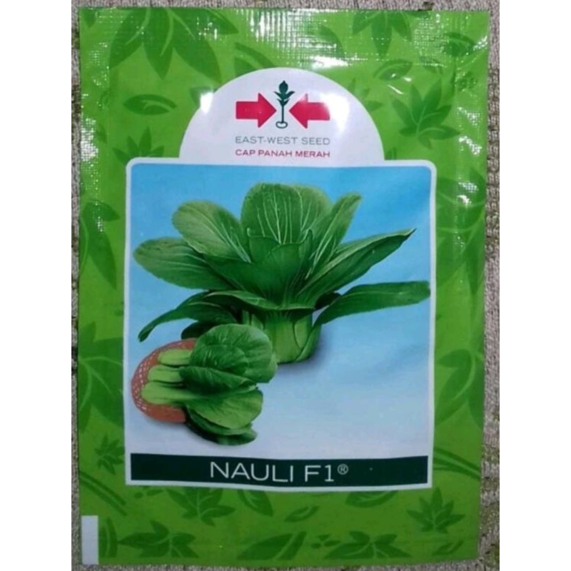 100 butir benih sawi daging ..sawi pakcoy