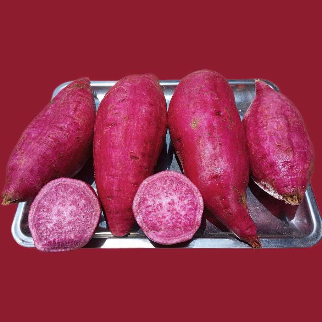 

ubi jalar ungu khusus cargo dan instan kurir