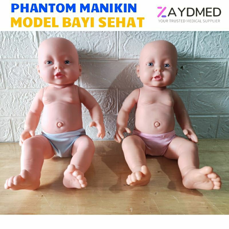 PHANTOM MANIKIN BAYI SEHAT/ MANIKIN MODEL BAYI