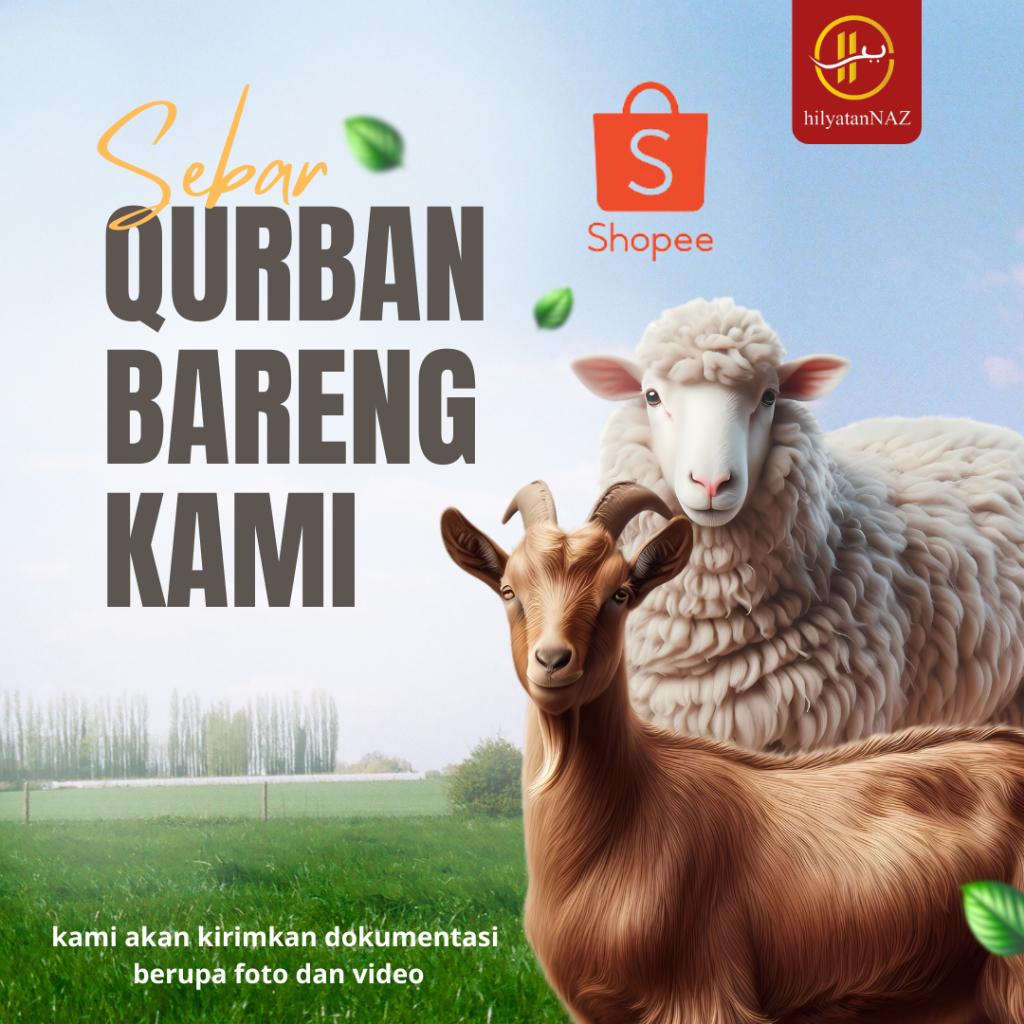 kambing kurban domba qurban