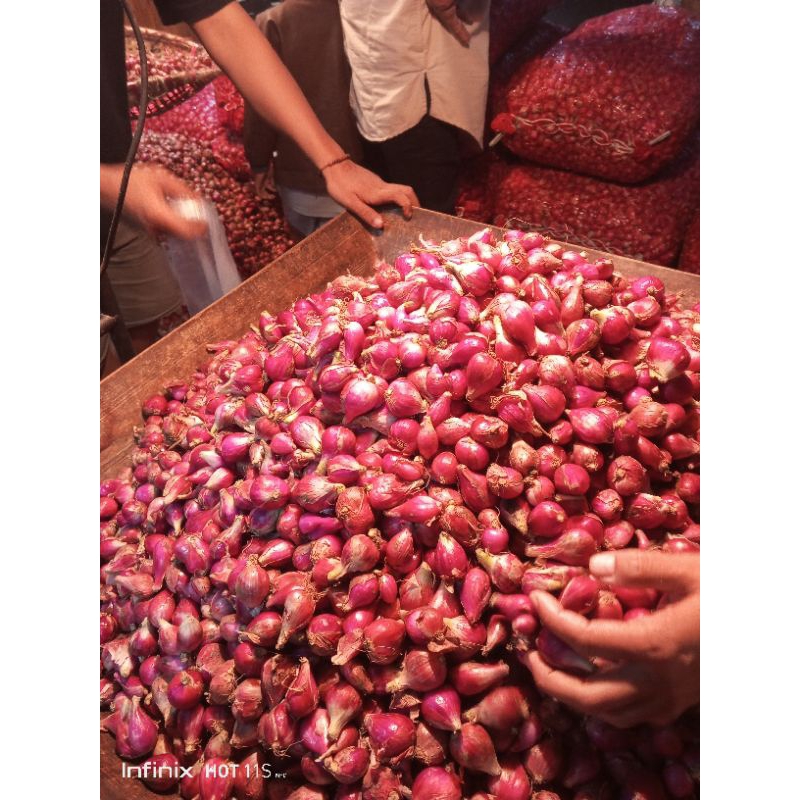 

Bawang merah berebes jumbo ORI 1 kg