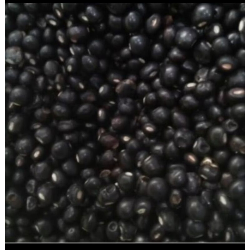 

Kacang Gude Wonogiri 100gram