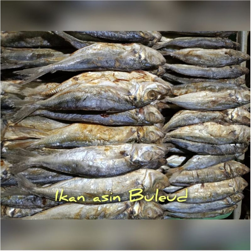 

Ikan Asin Beleng Buleud Segar Asli Kualitas Terjamin