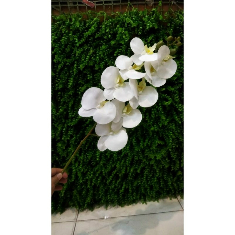 Bunga anggrek artificial - Anggrek bulan putih - Anggrek latex putih