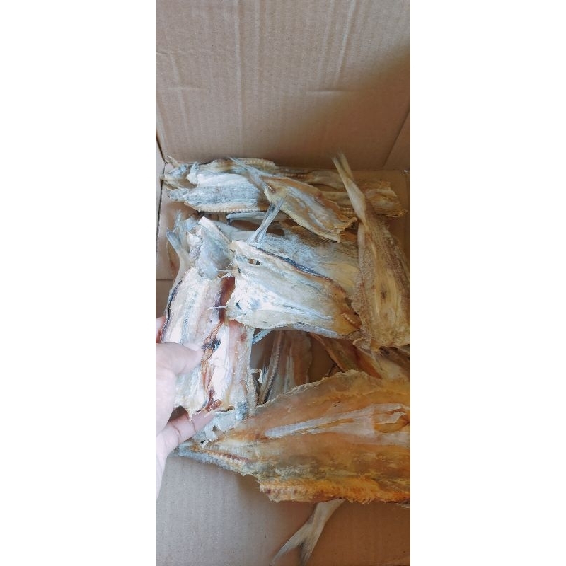 

ikan jambrung ploso blolog kering tawar 250gram