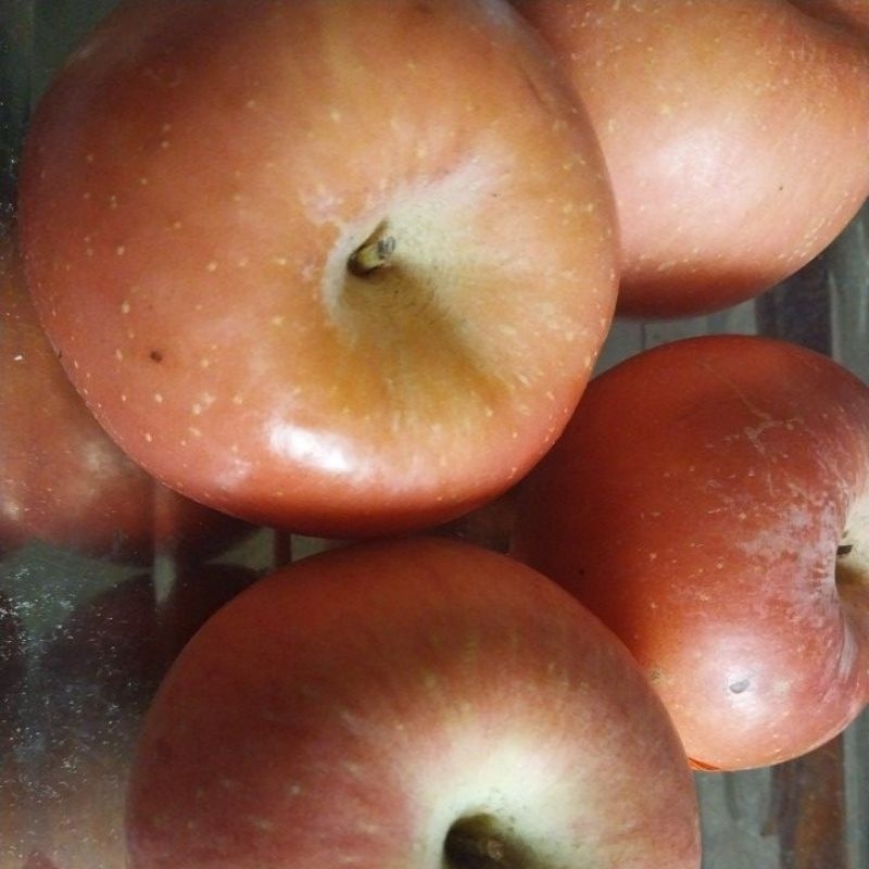

Apel Fuji