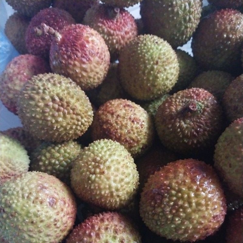 

Leci Madu